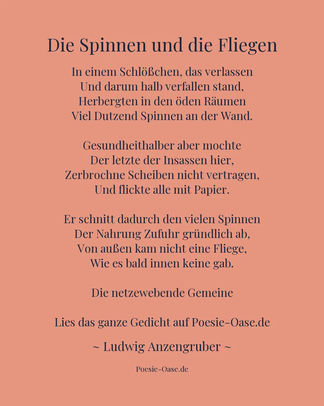 Illustration zu Die Spinnen und die Fliegen