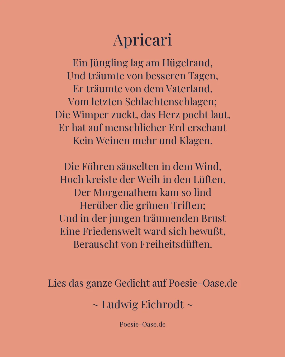 Illustration zu Apricari