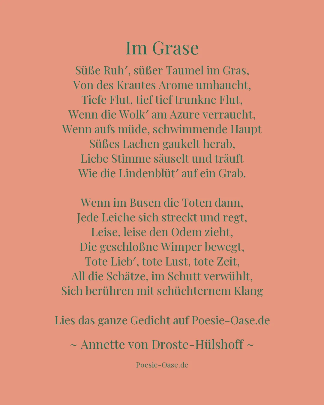 Illustration zu Im Grase