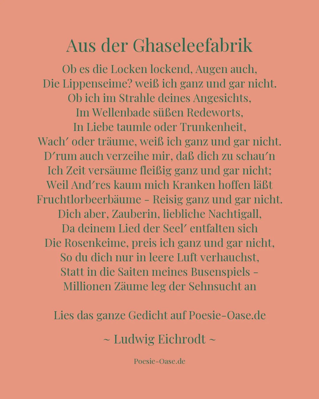 Illustration zu Aus der Ghaseleefabrik