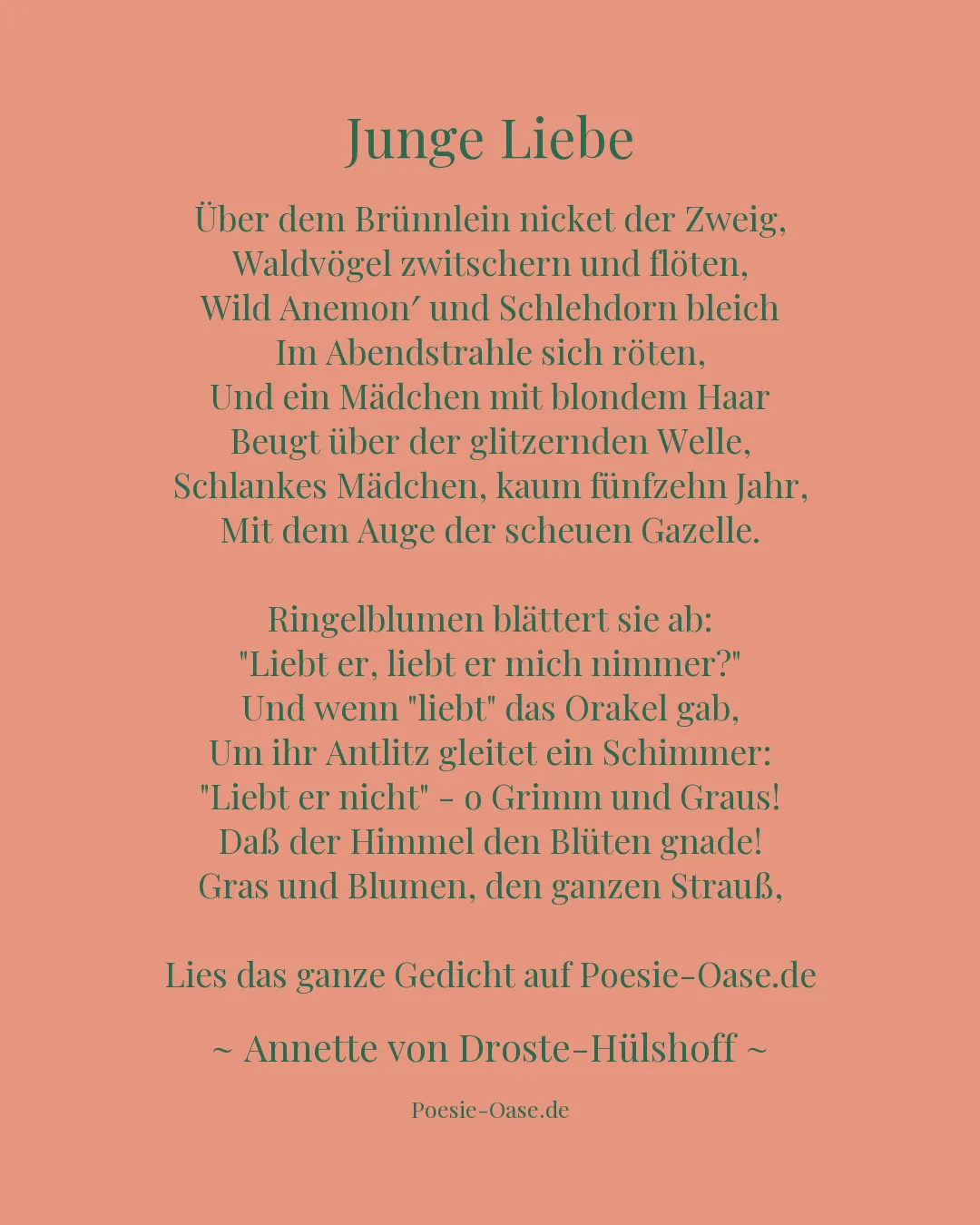 Illustration zu Junge Liebe