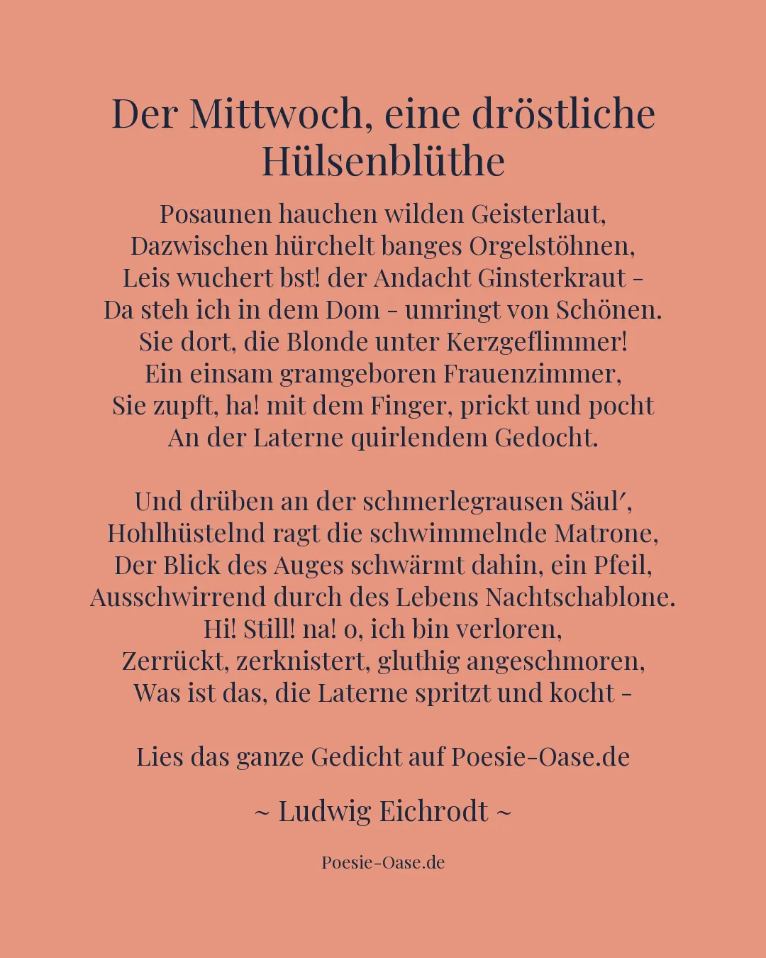 Illustration zu Der Mittwoch, eine dröstliche Hülsenblüthe