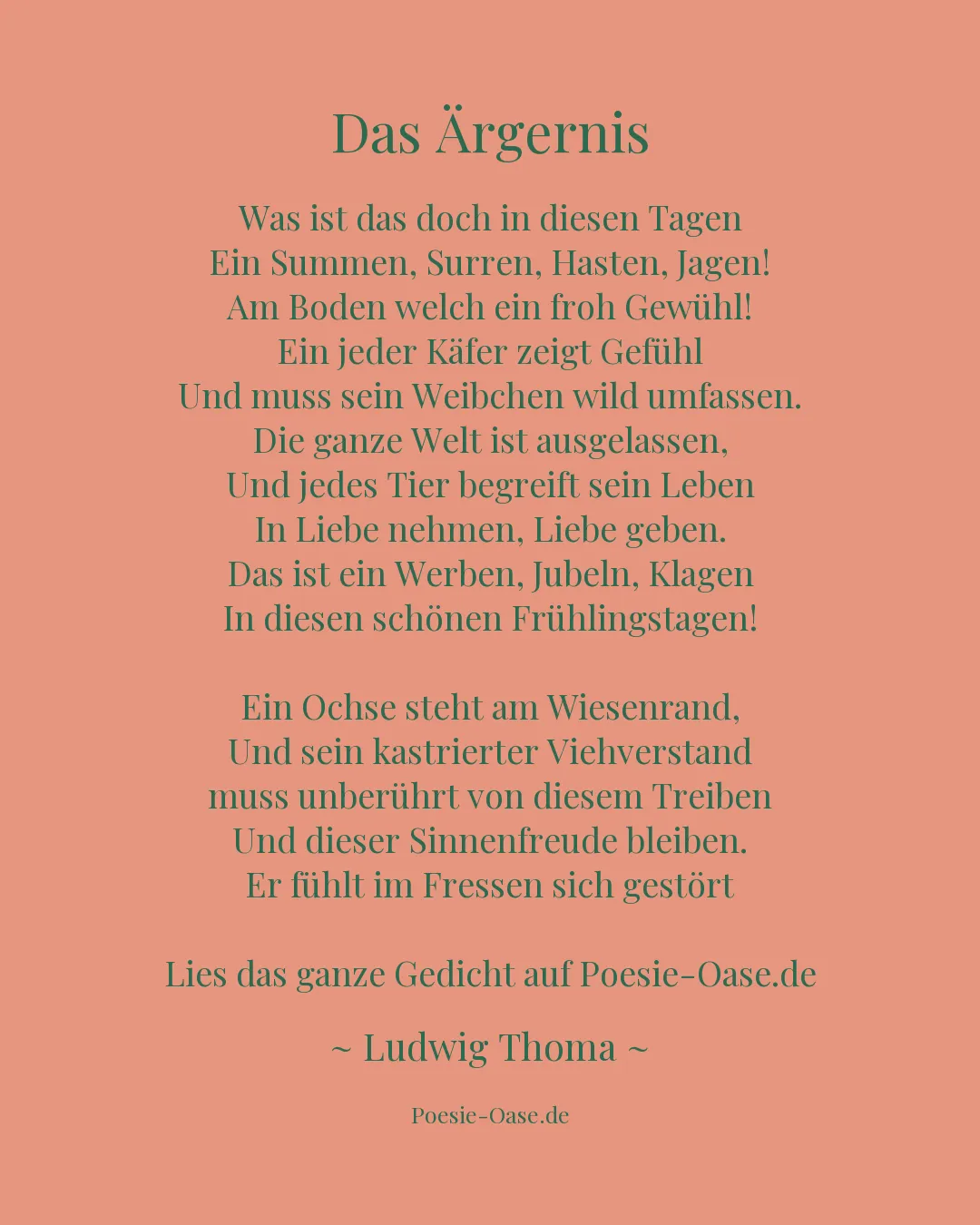 Illustration zu Das Ärgernis