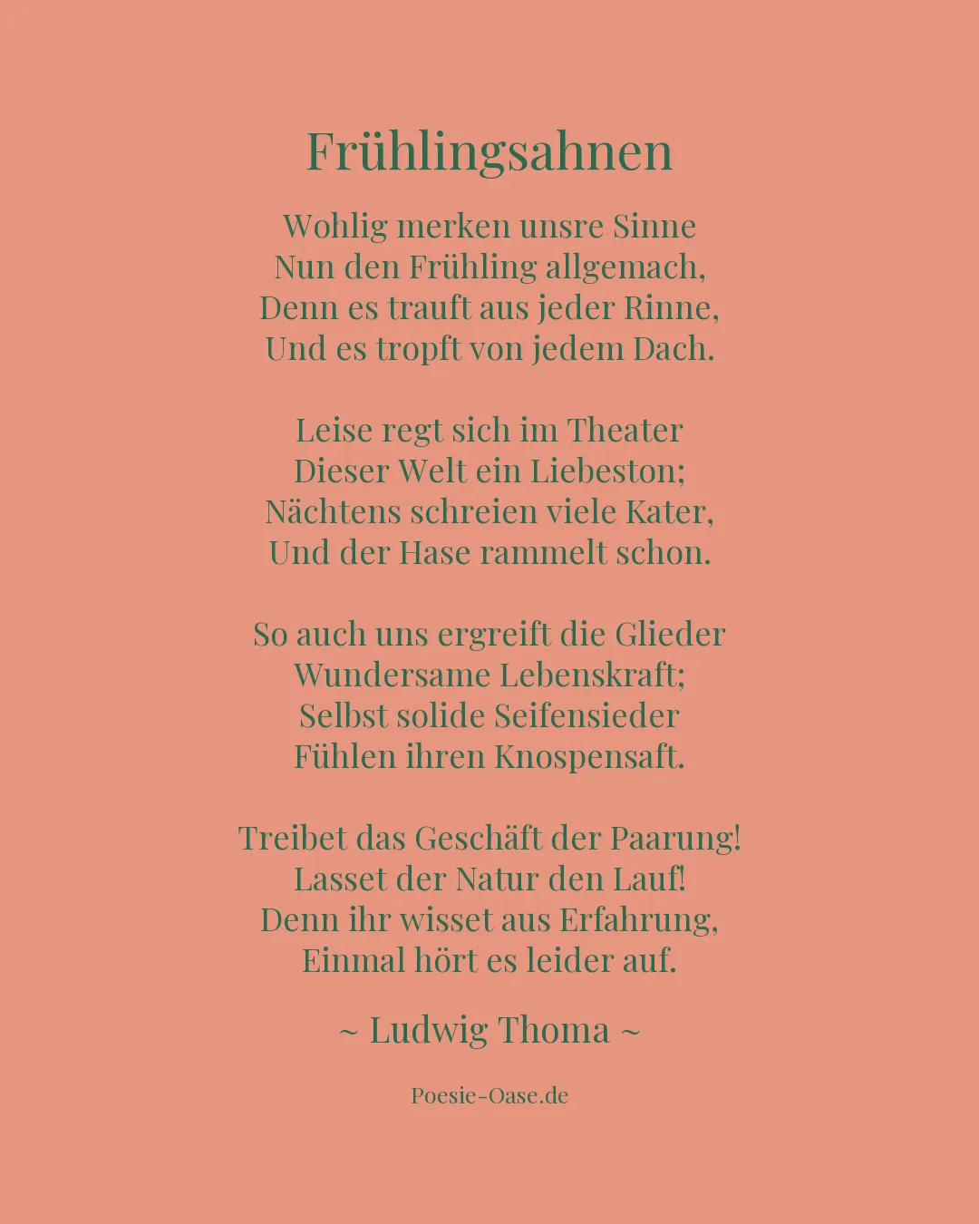 Illustration zu Frühlingsahnen