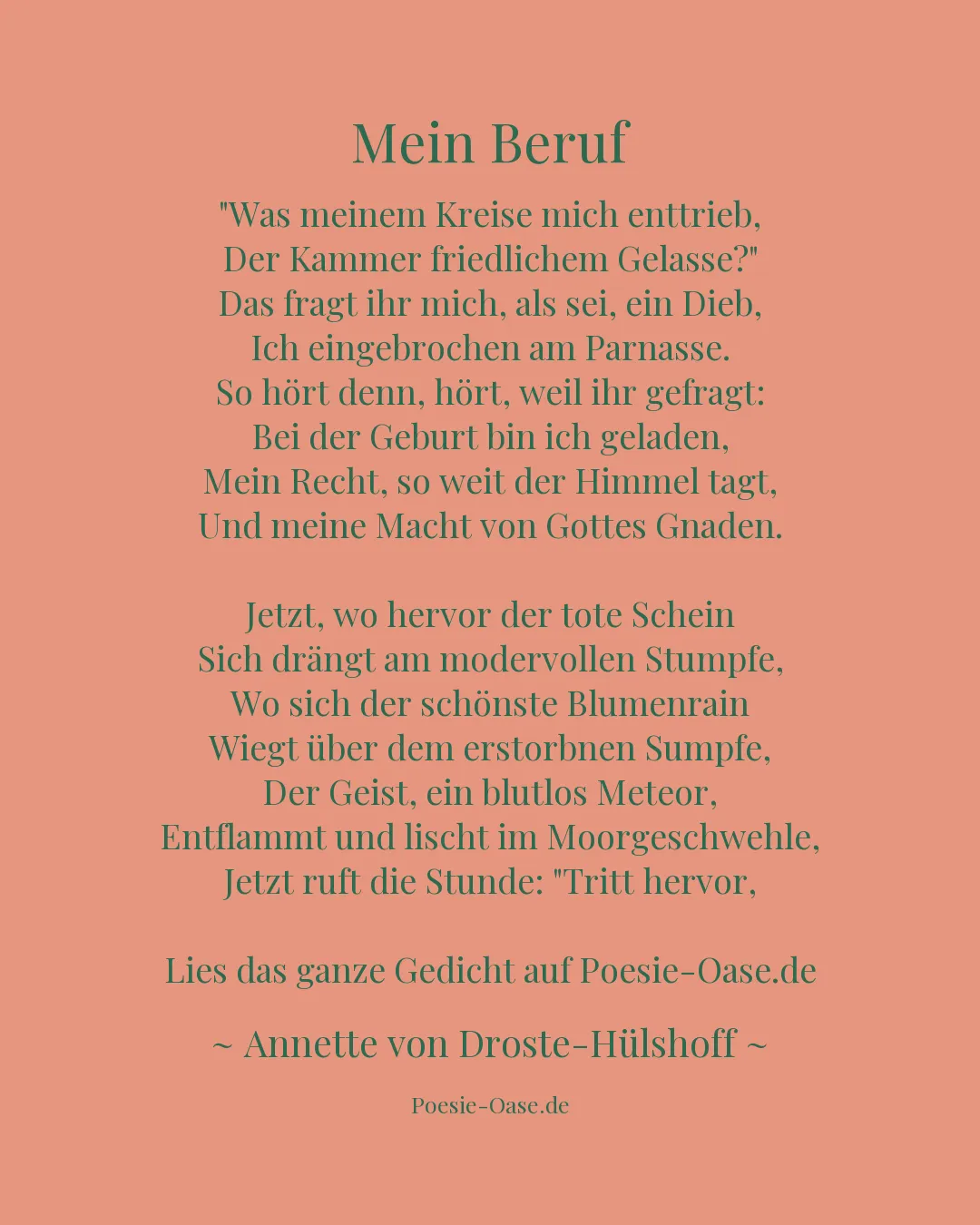 Illustration zu Mein Beruf