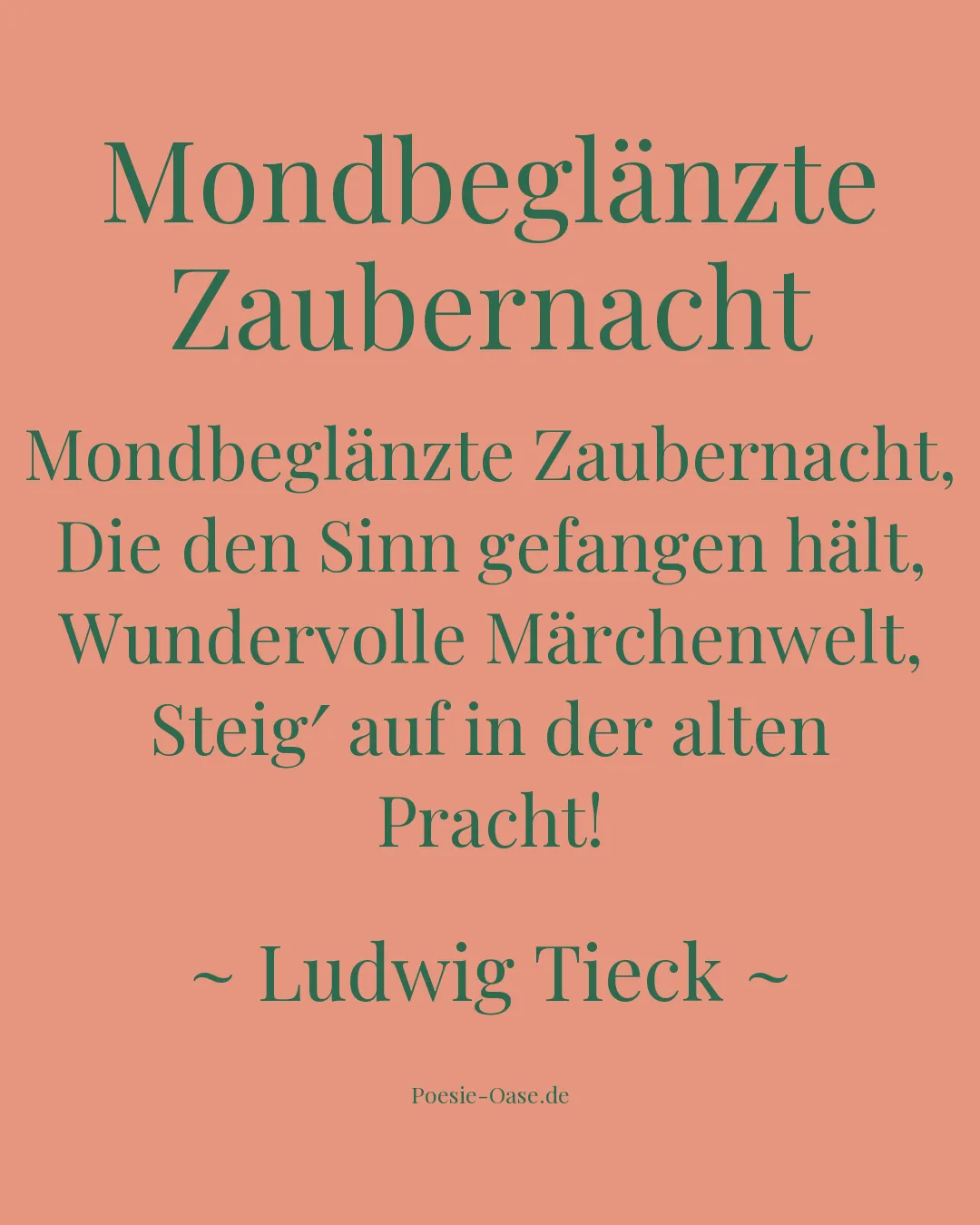 Illustration zu Mondbeglänzte Zaubernacht