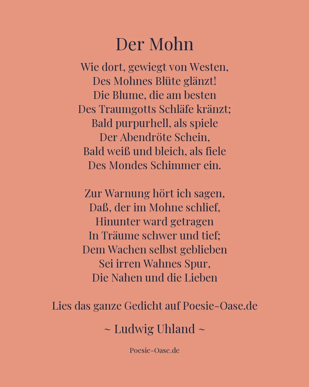 Illustration zu Der Mohn