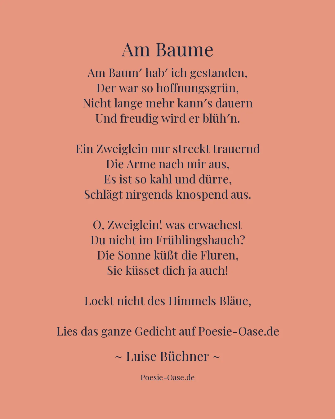 Illustration zu Am Baume