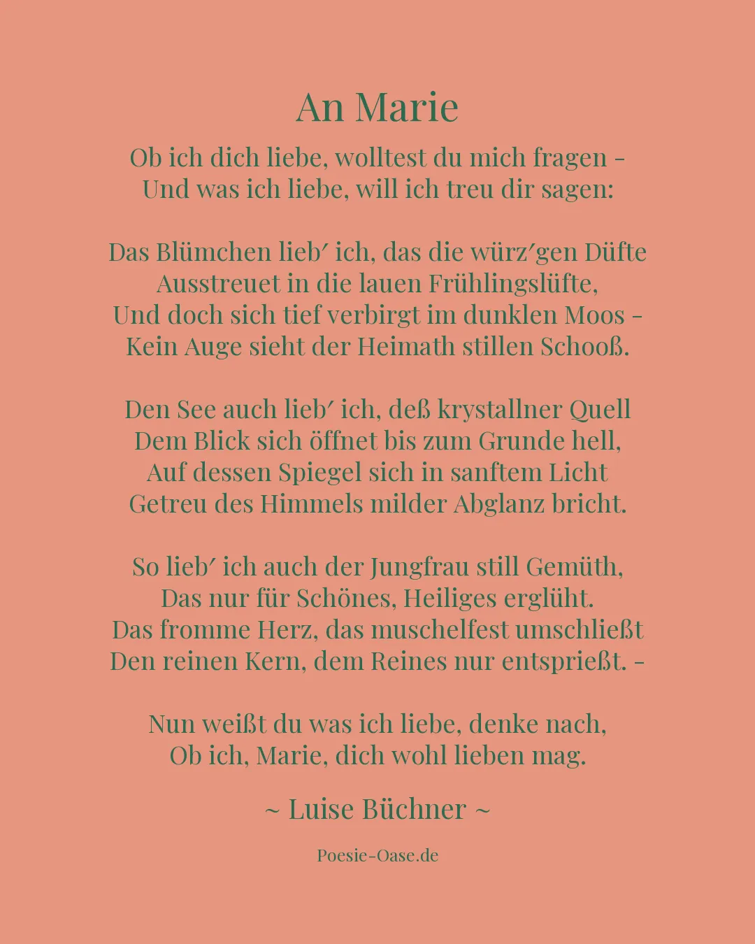 Illustration zu An Marie