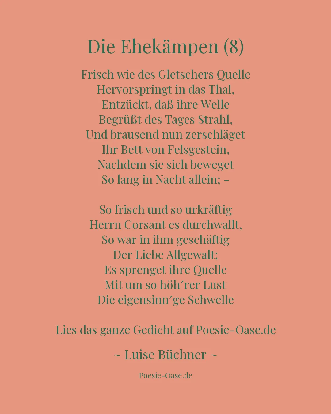 Illustration zu Die Ehekämpen (8)