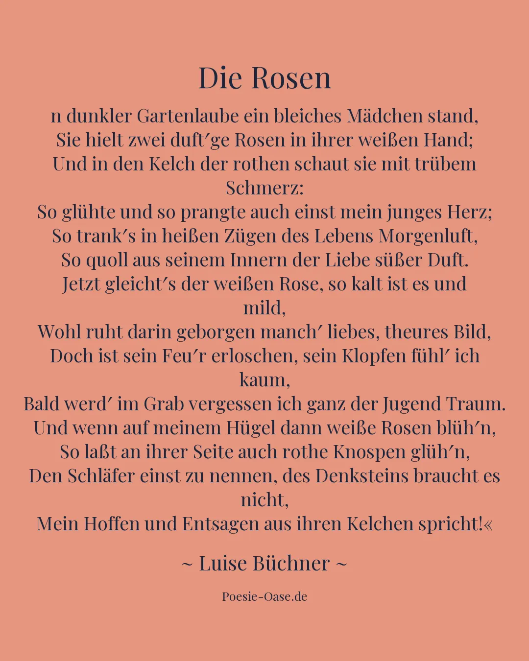 Illustration zu Die Rosen