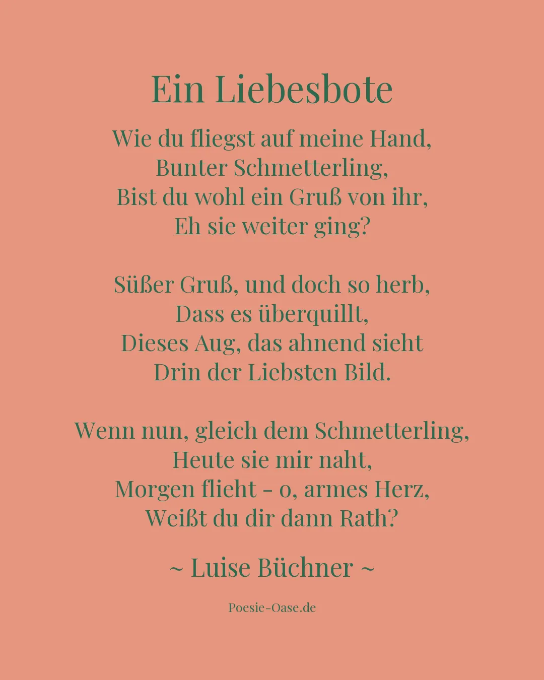 Illustration zu Ein Liebesbote