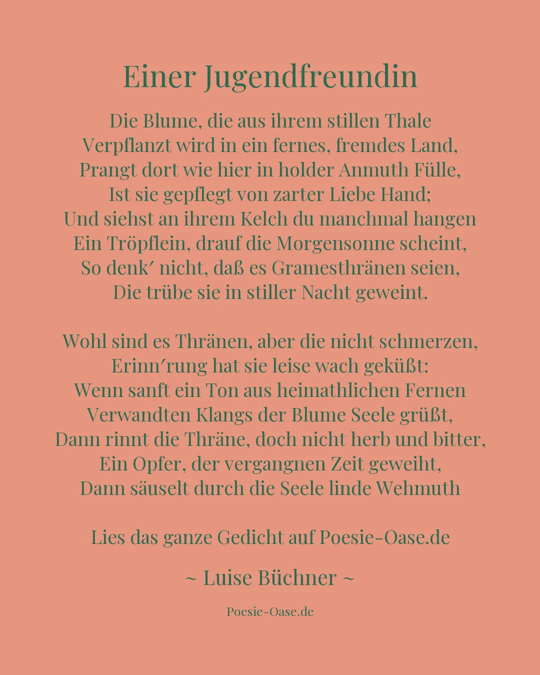 Illustration zu Einer Jugendfreundin