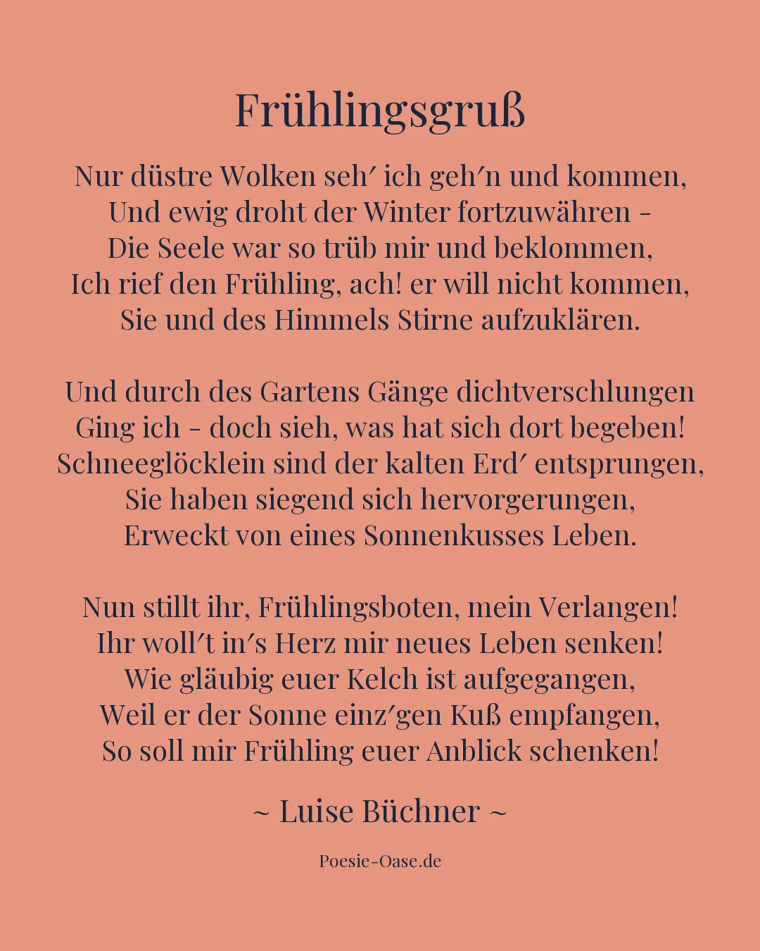 Illustration zu Frühlingsgruß