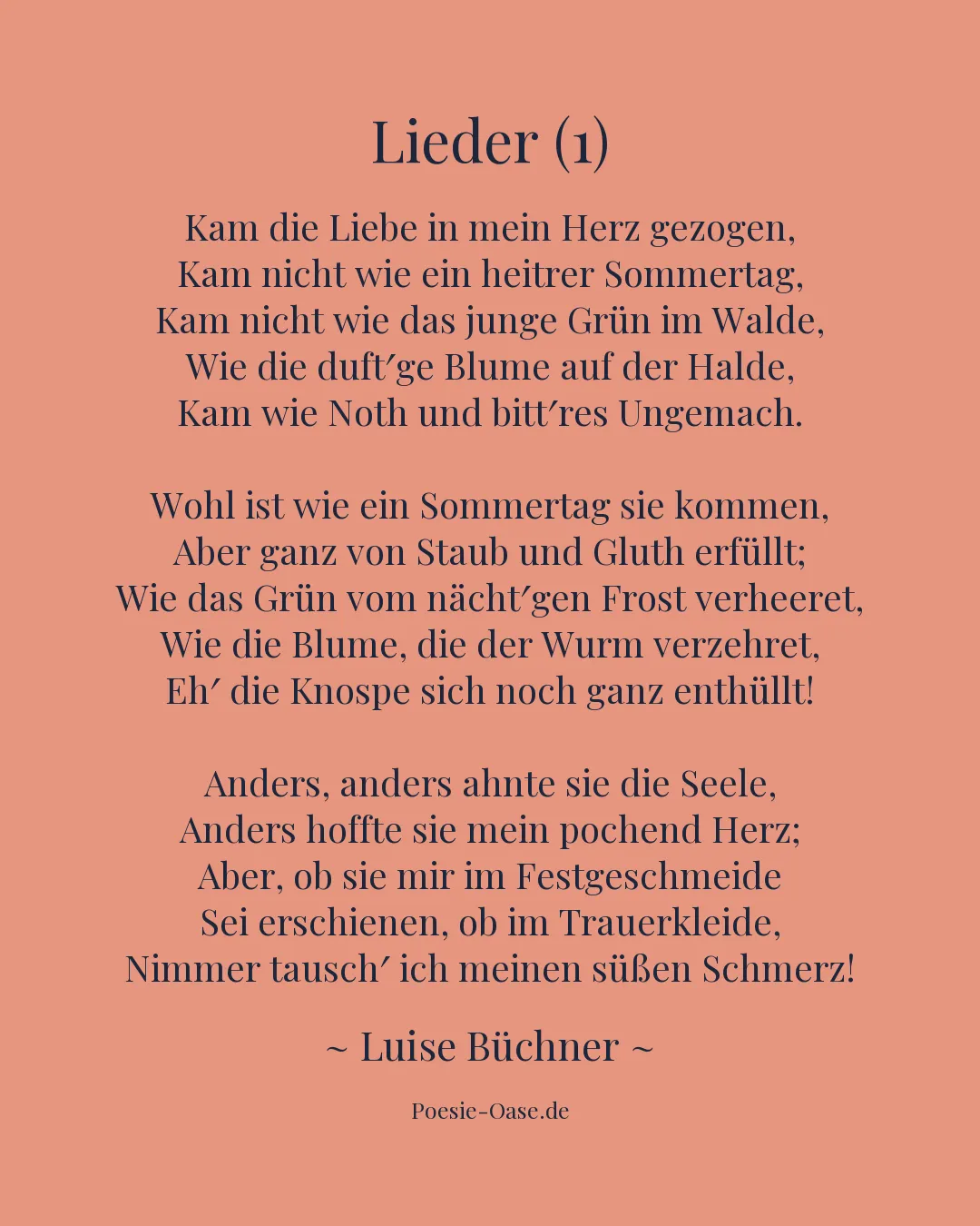 Illustration zu Lieder (1)
