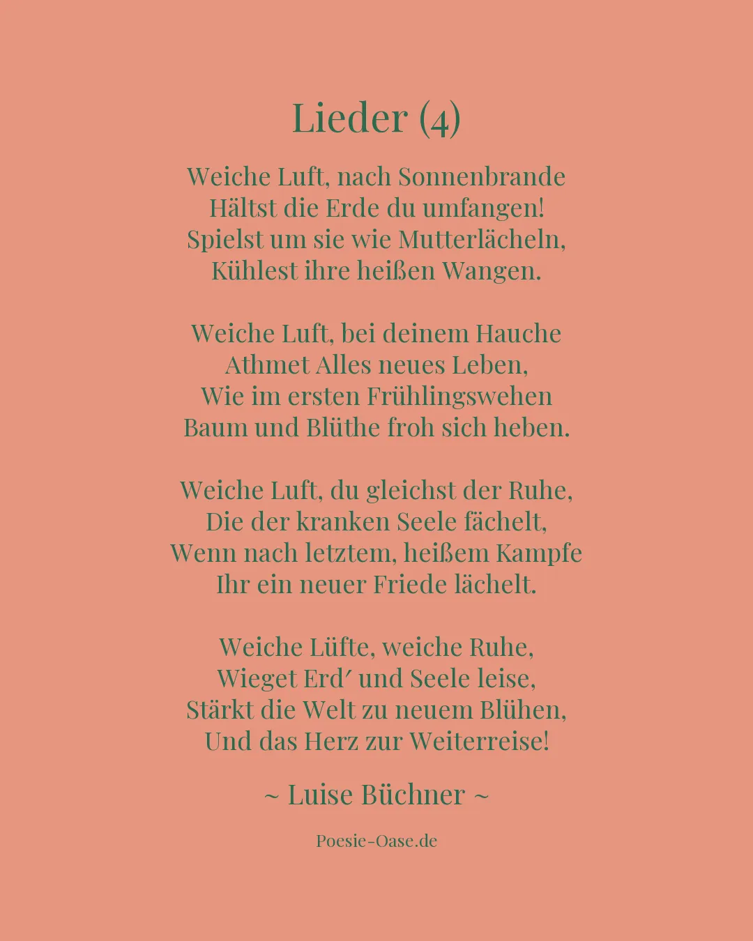 Illustration zu Lieder (4)
