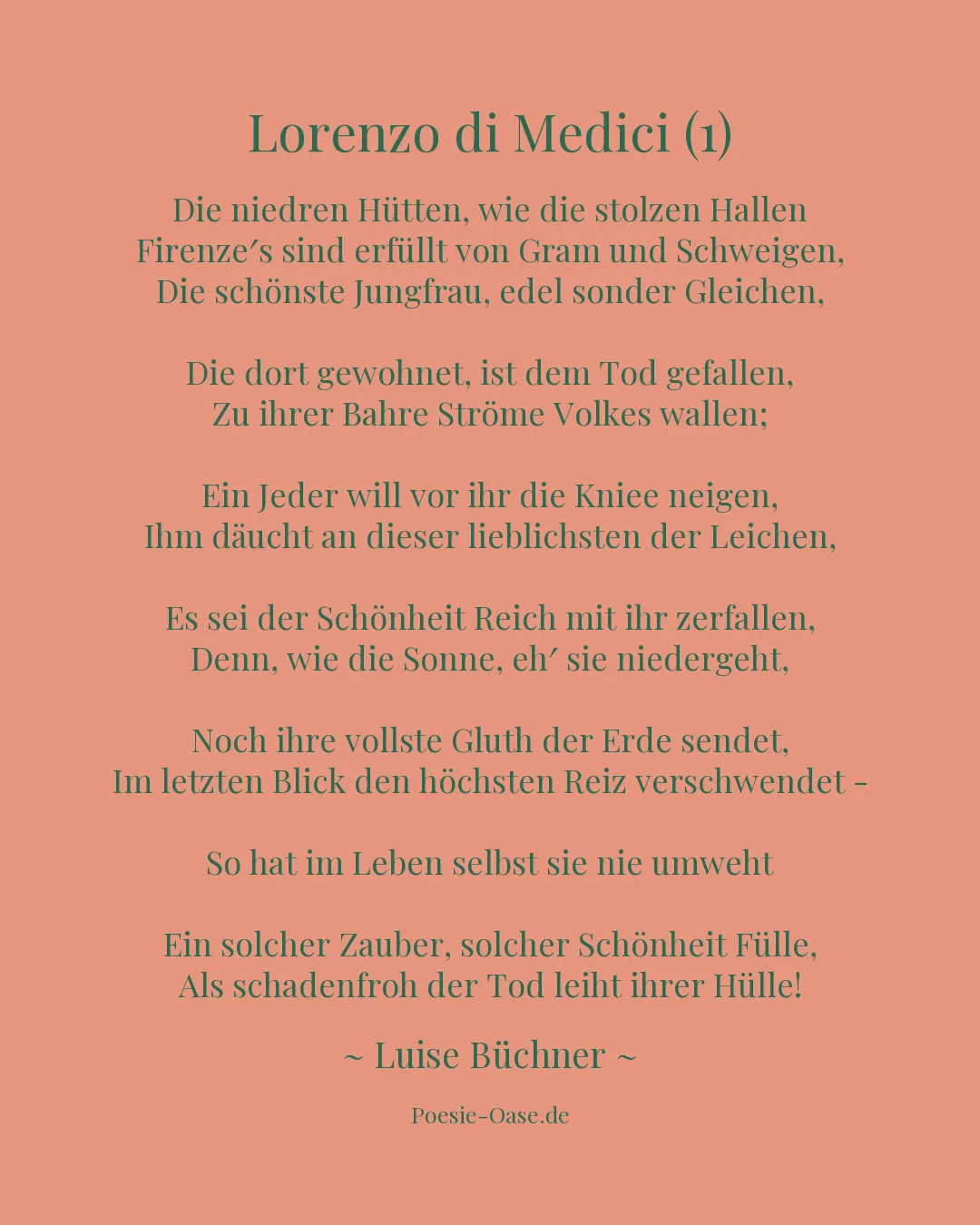 Illustration zu Lorenzo di Medici (1)
