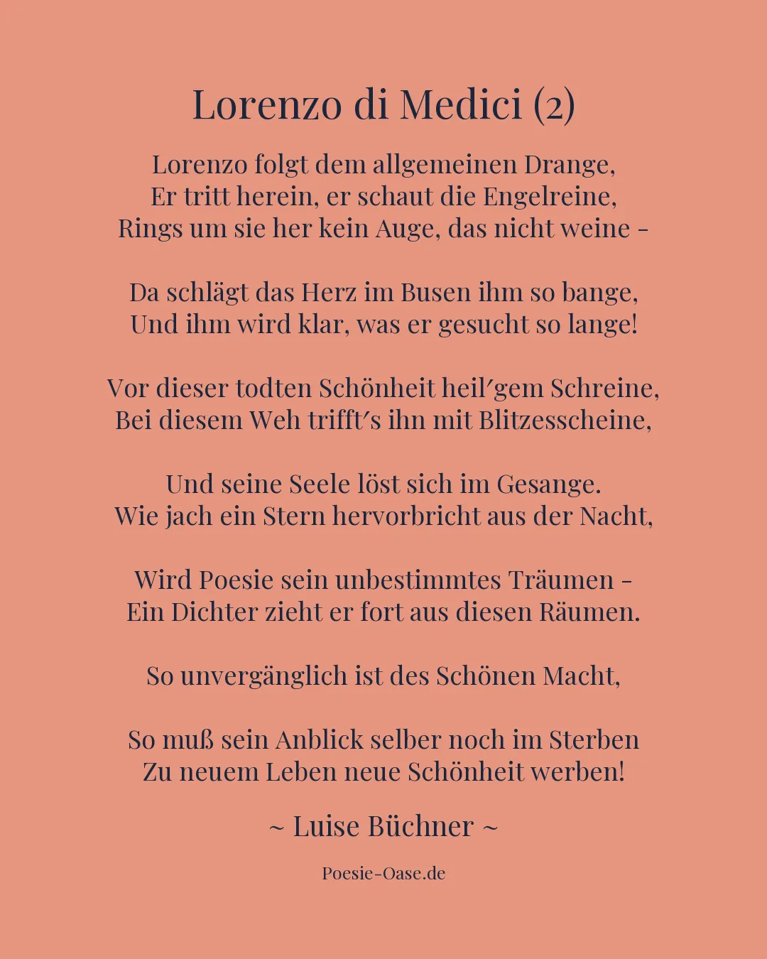Illustration zu Lorenzo di Medici (2)