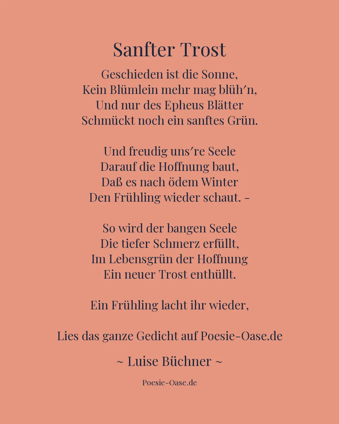 Illustration zu Sanfter Trost