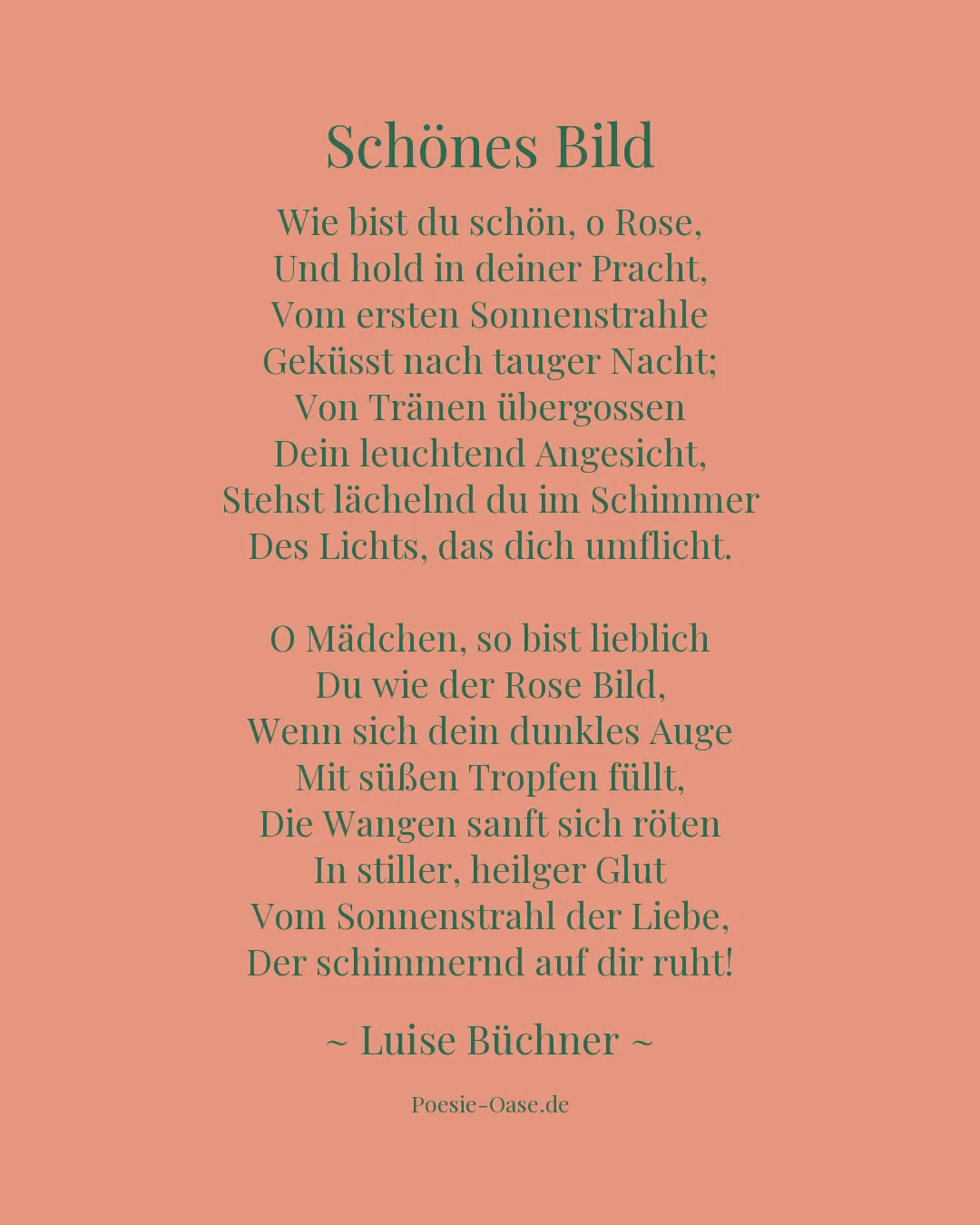 Illustration zu Schönes Bild
