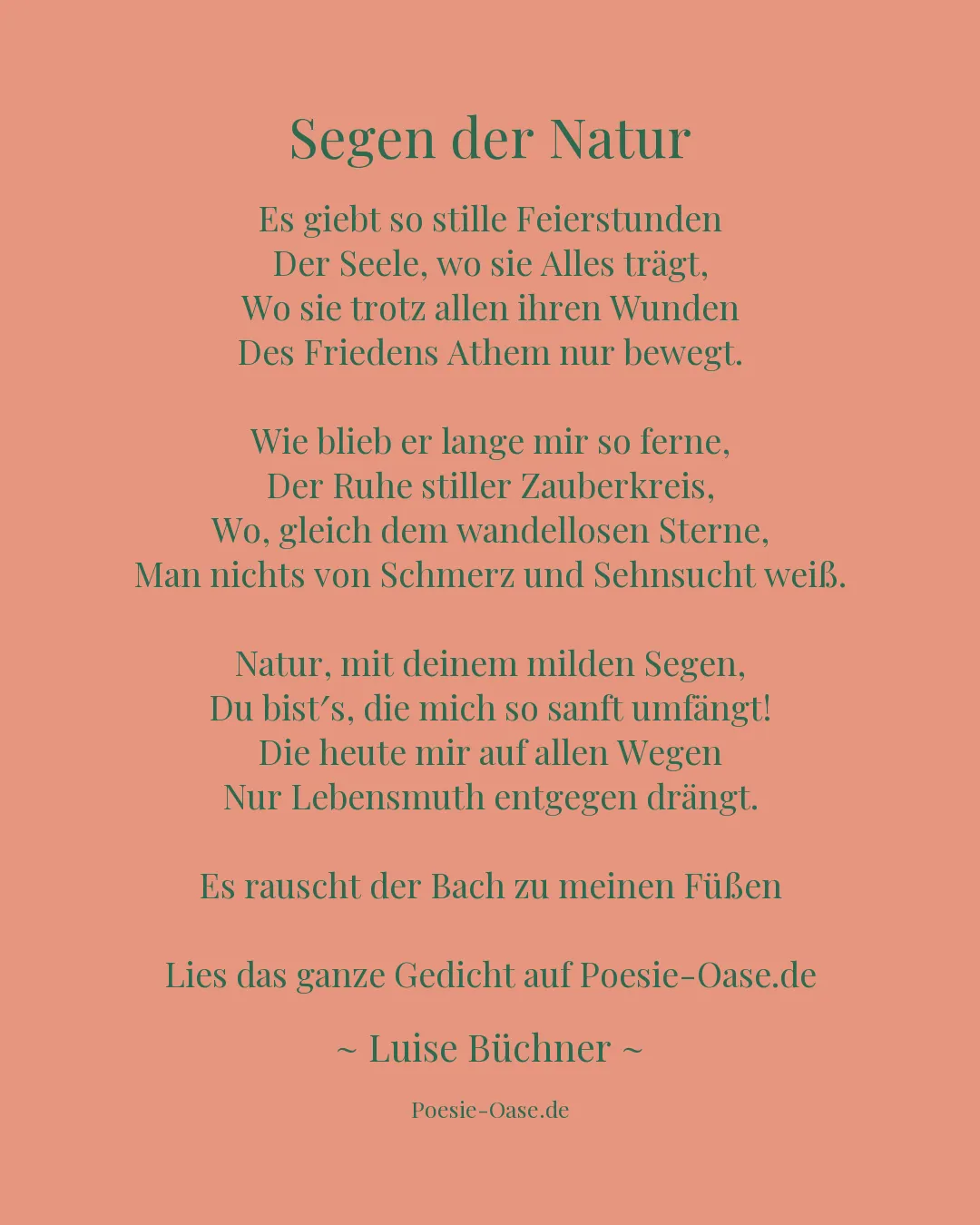 Illustration zu Segen der Natur