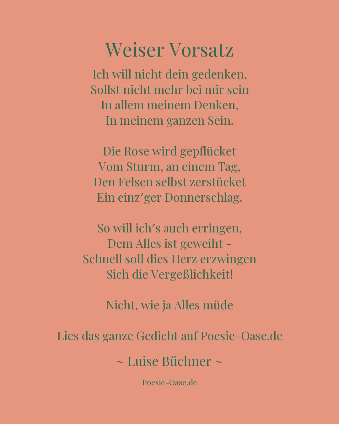 Illustration zu Weiser Vorsatz