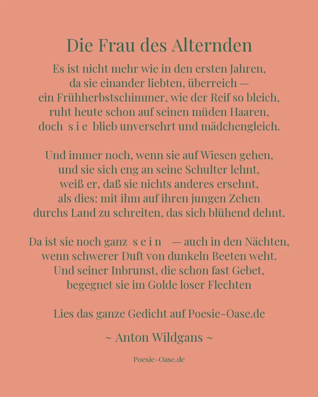 Illustration zu Die Frau des Alternden