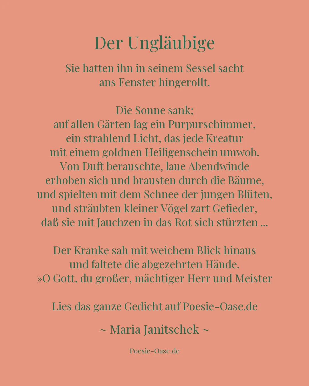 Illustration zu Der Ungläubige
