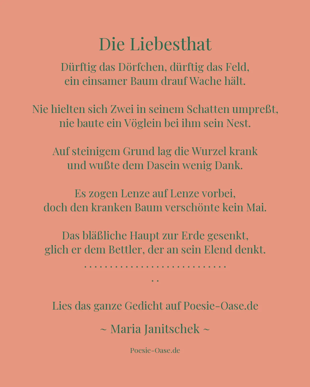Illustration zu Die Liebesthat