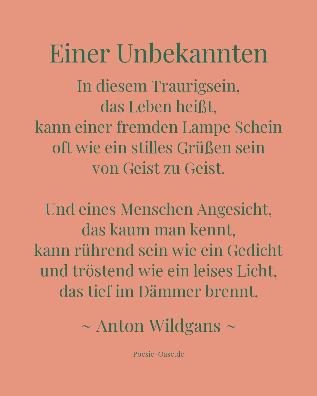 Illustration zu Einer Unbekannten