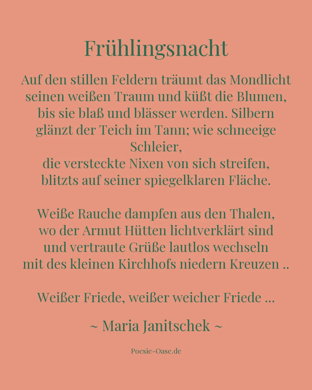 Illustration zu Frühlingsnacht