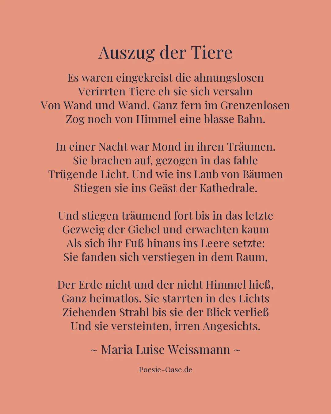 Illustration zu Auszug der Tiere