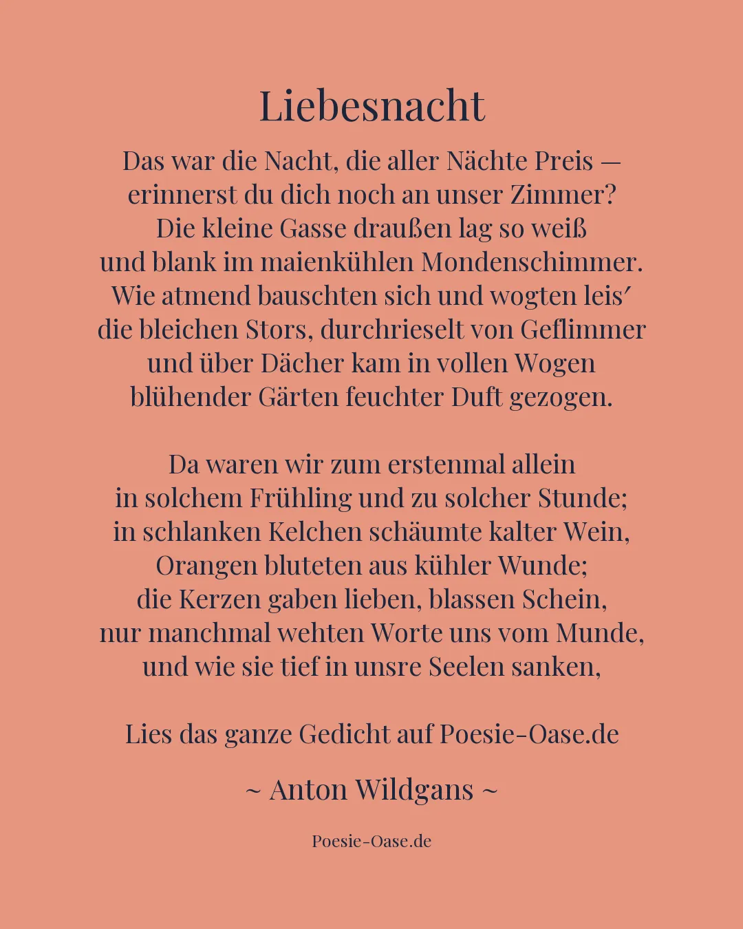 Illustration zu Liebesnacht