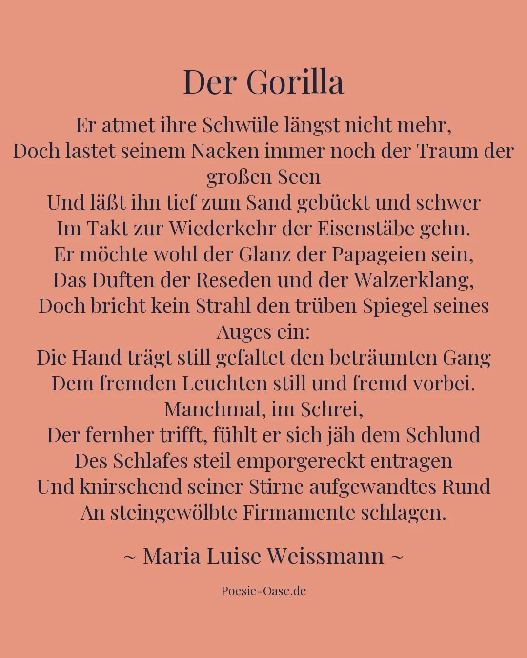 Illustration zu Der Gorilla