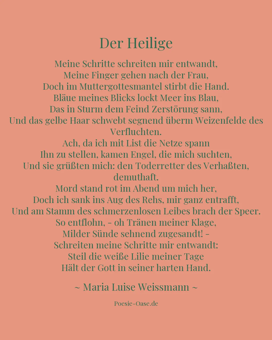 Illustration zu Der Heilige