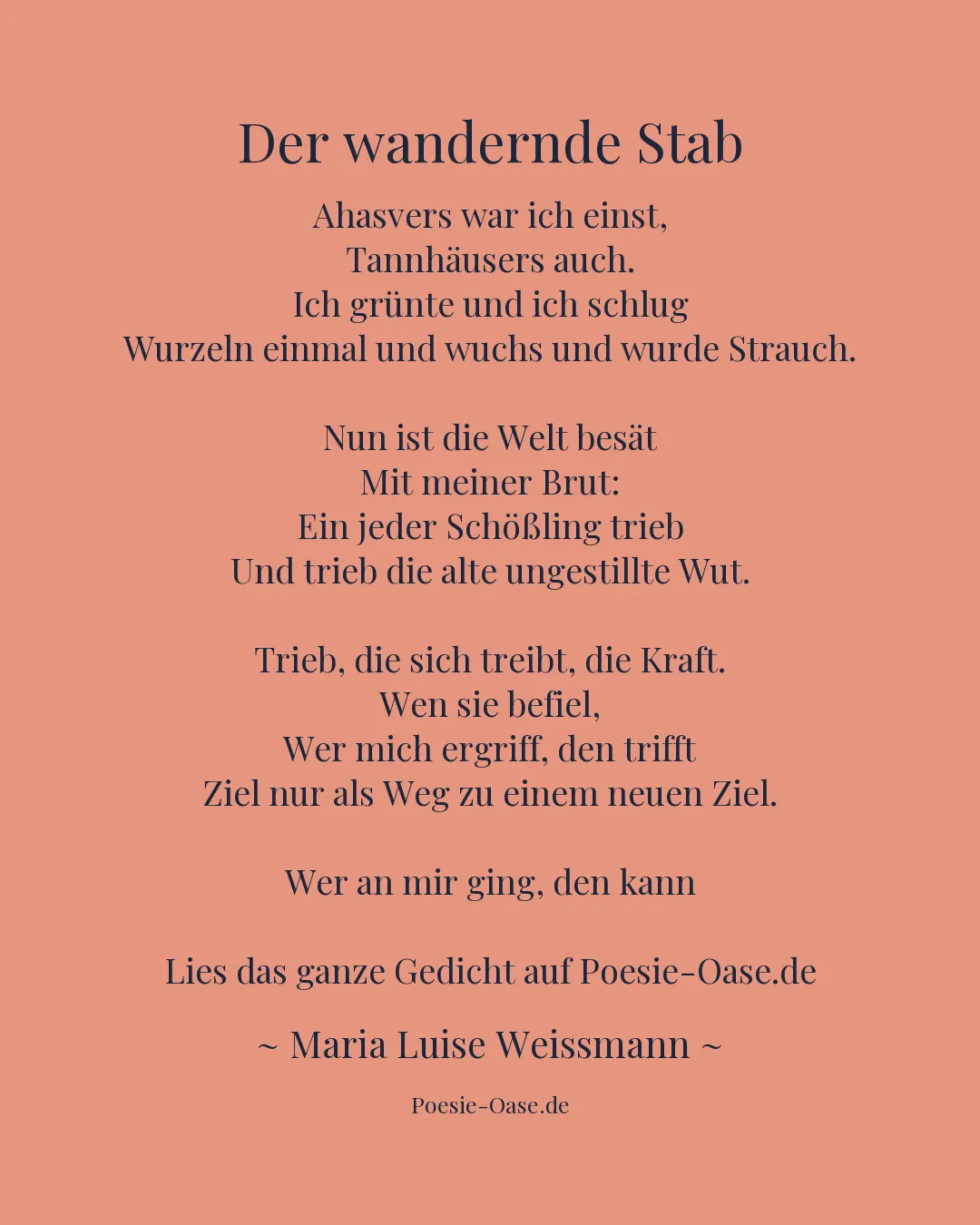 Illustration zu Der wandernde Stab