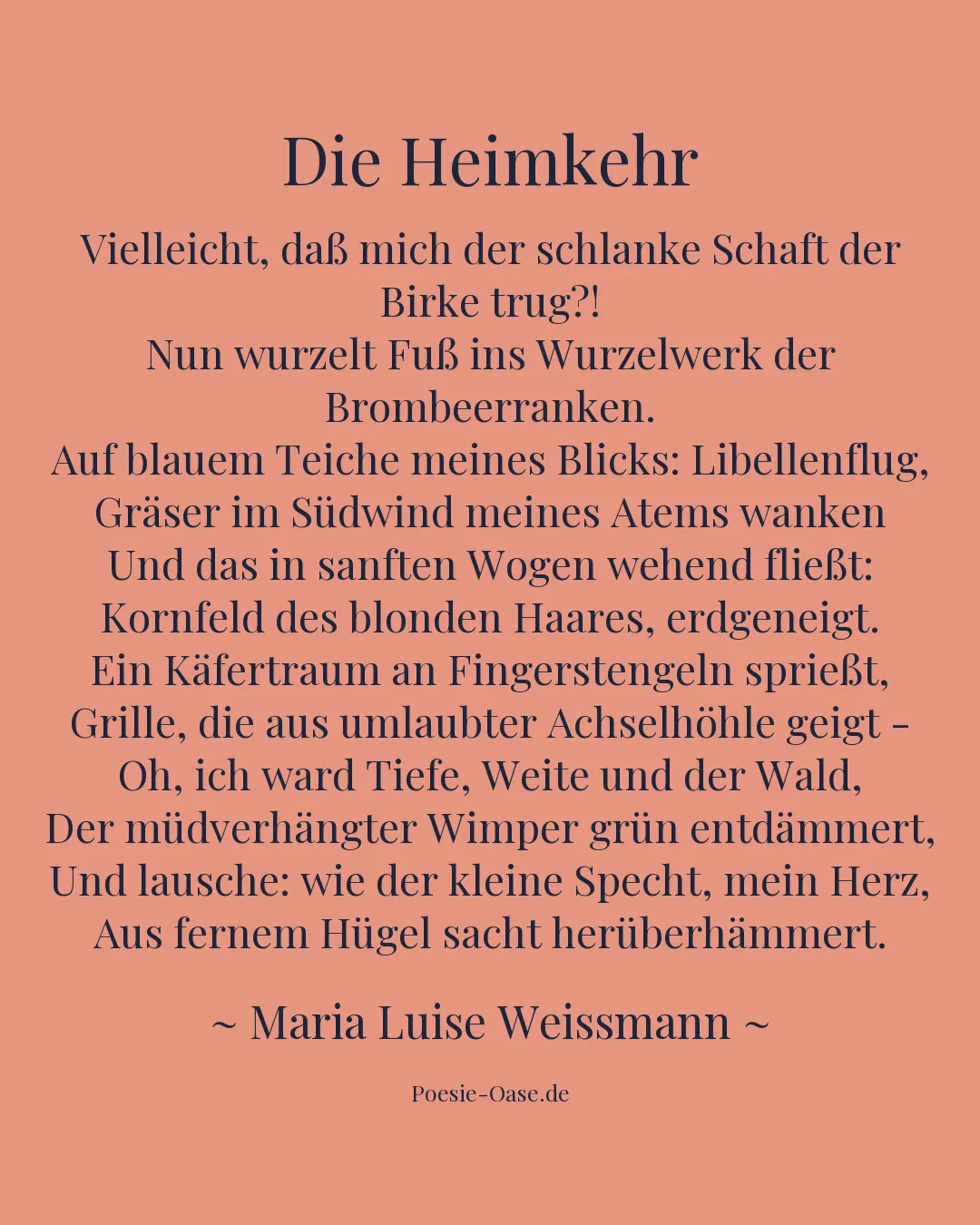 Illustration zu Die Heimkehr