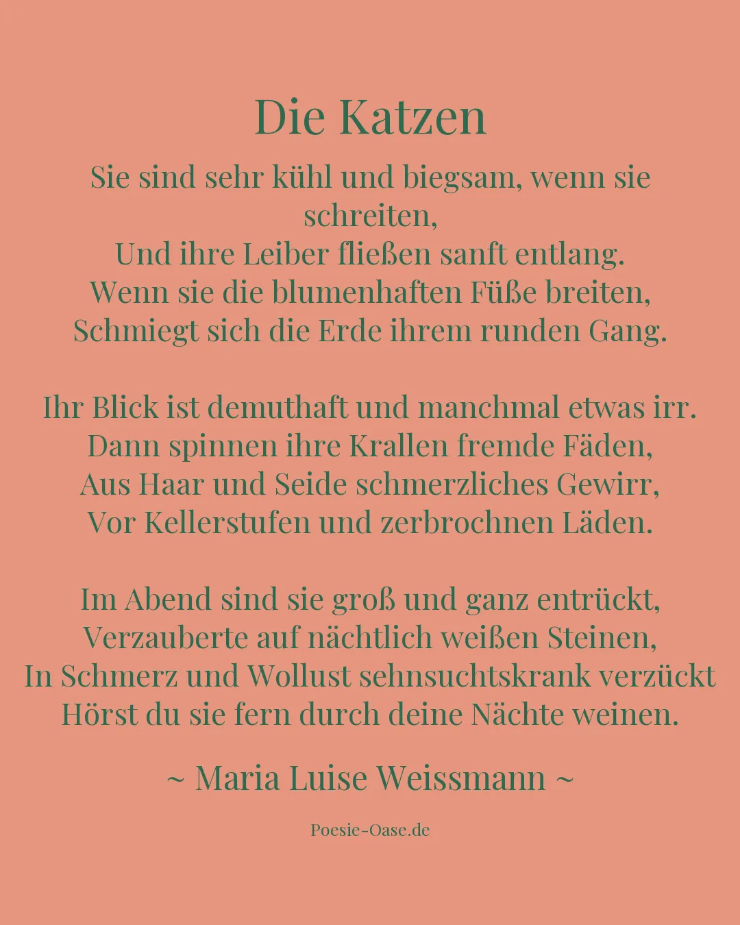 Illustration zu Die Katzen