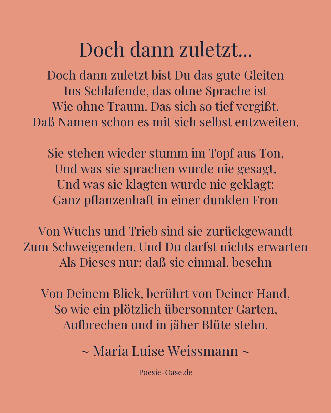 Illustration zu Doch dann zuletzt...