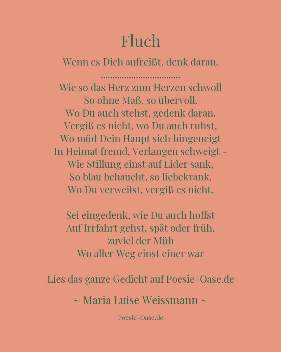 Illustration zu Fluch