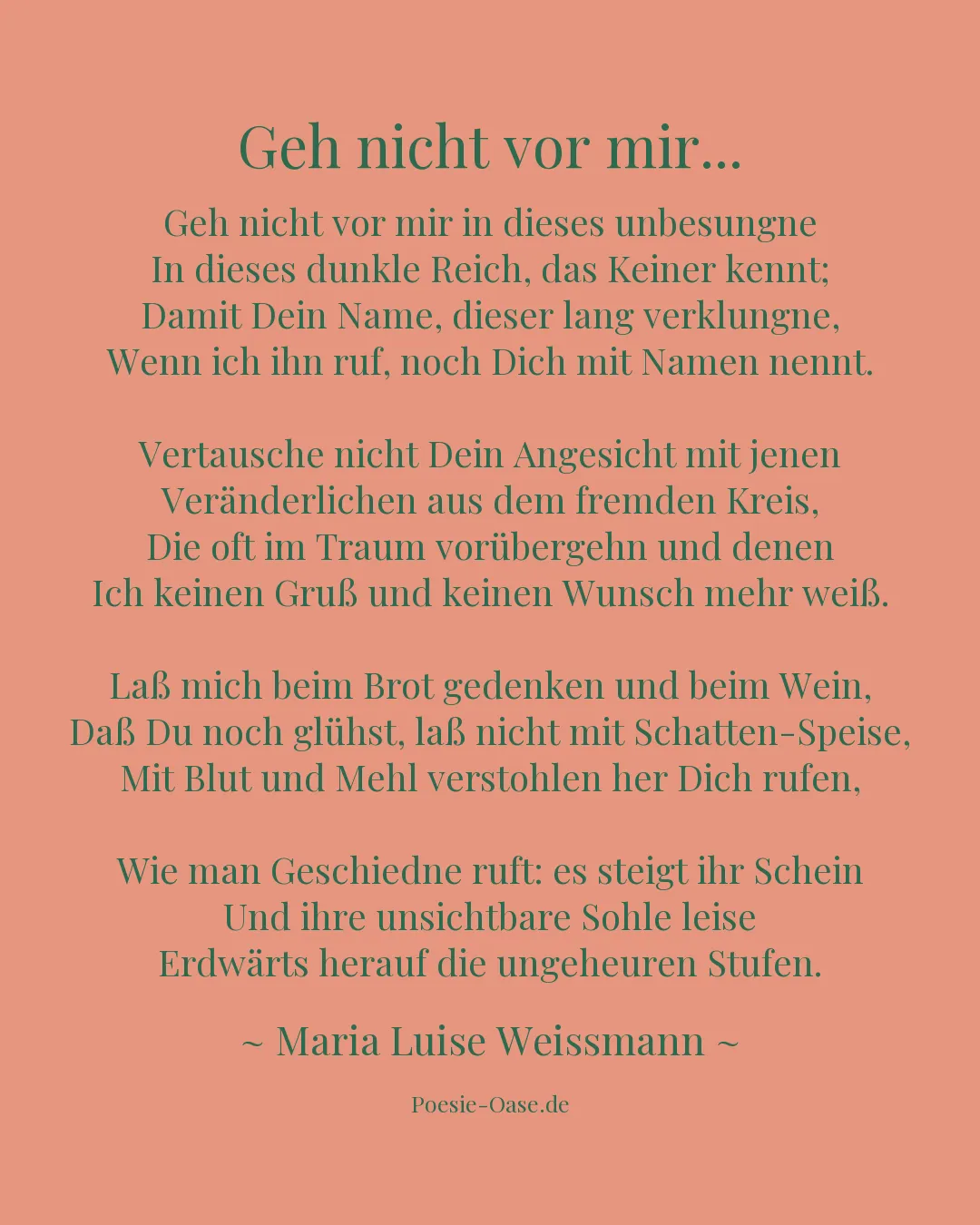Illustration zu Geh nicht vor mir...