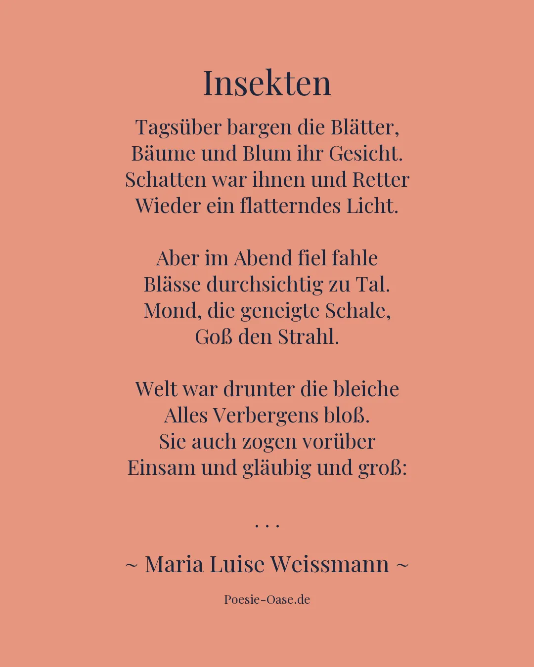 Illustration zu Insekten