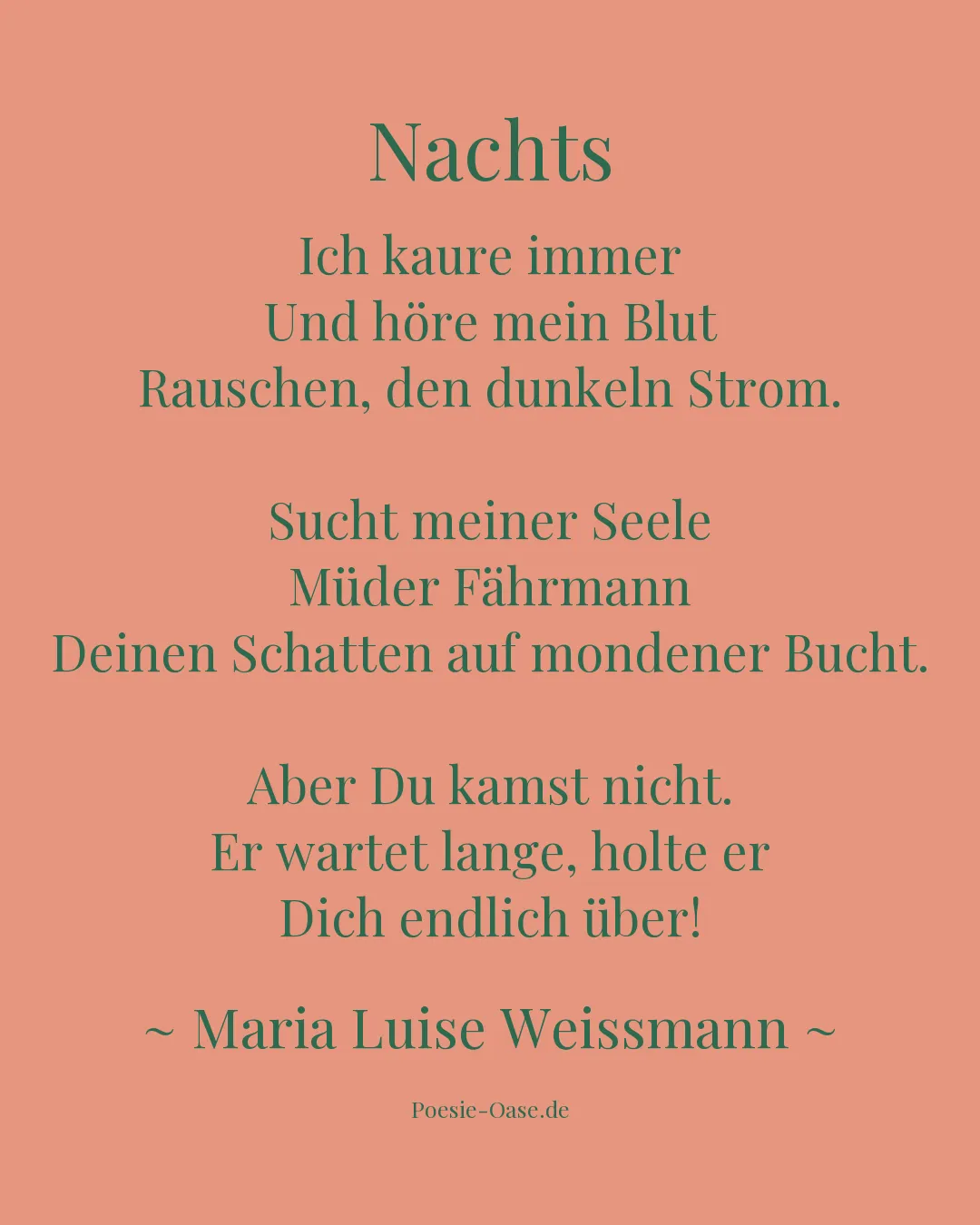 Illustration zu Nachts