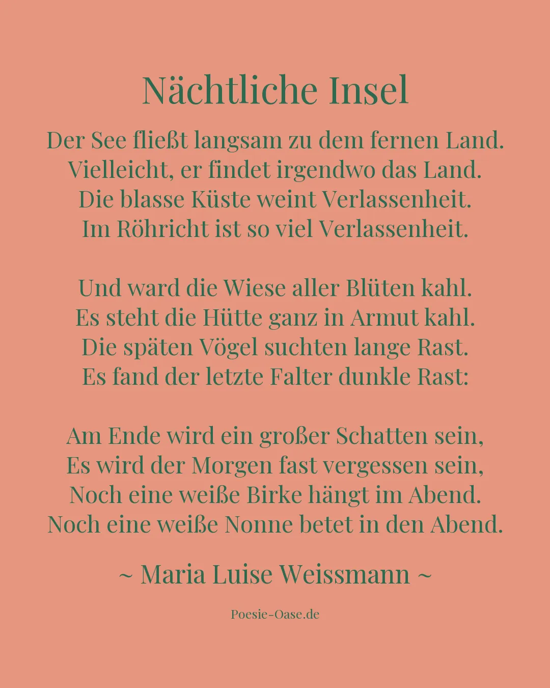 Illustration zu Nächtliche Insel