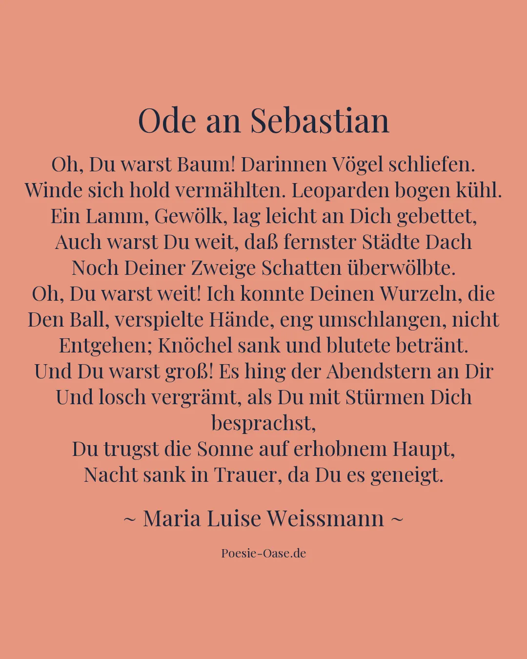 Illustration zu Ode an Sebastian