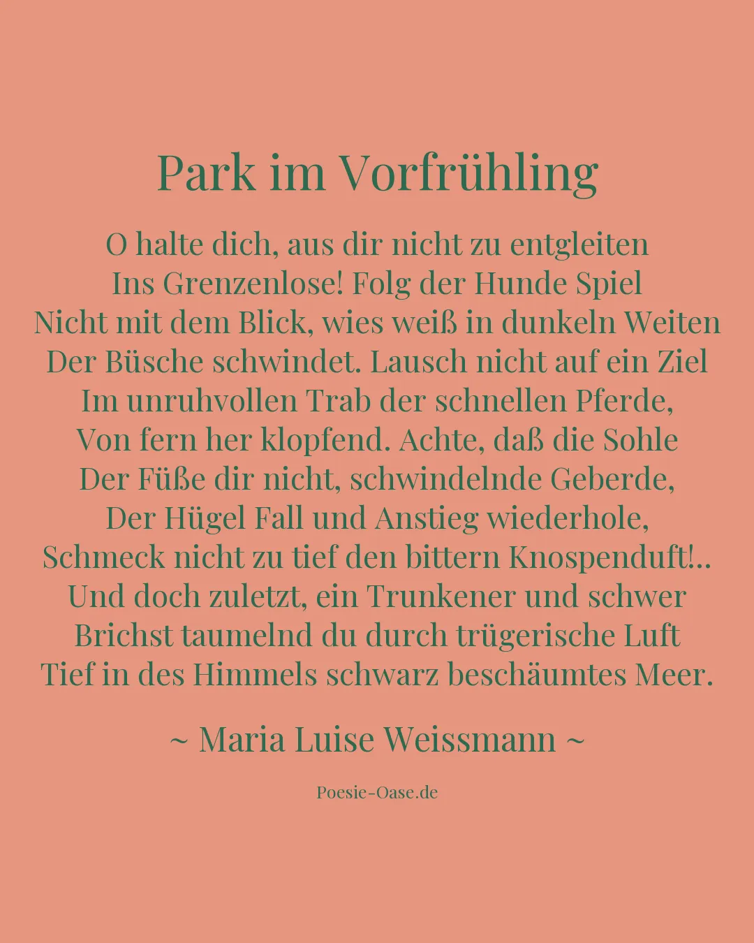 Illustration zu Park im Vorfrühling