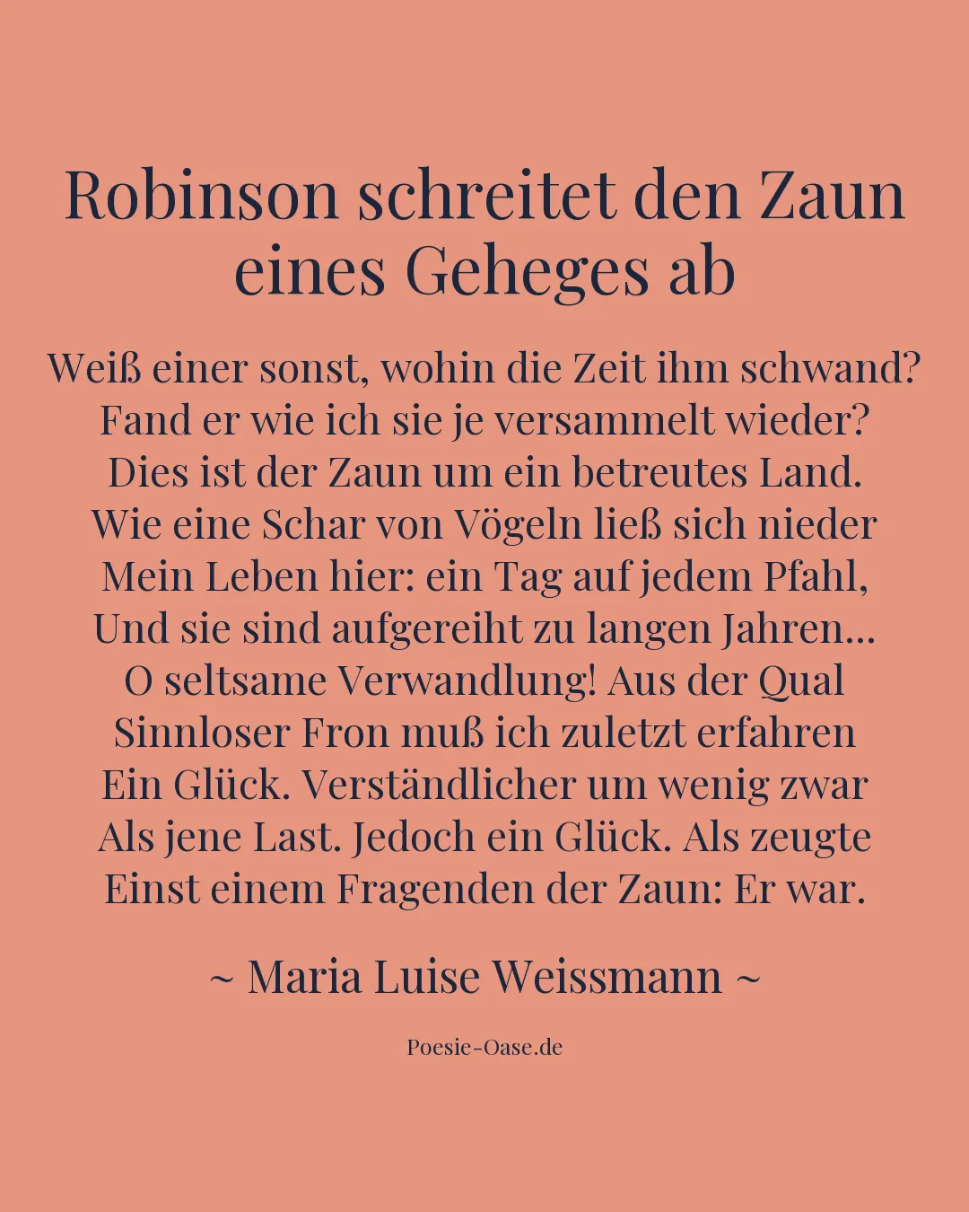 Illustration zu Robinson schreitet den Zaun eines Geheges ab