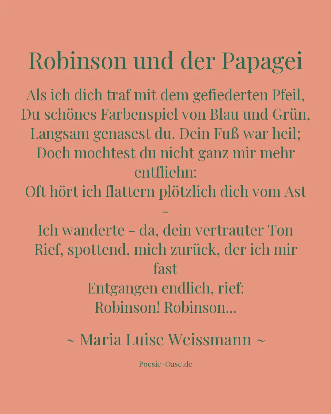 Illustration zu Robinson und der Papagei