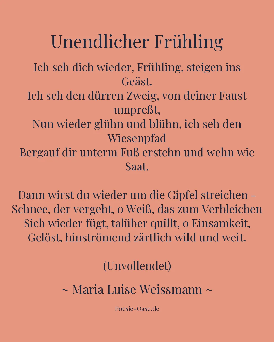 Illustration zu Unendlicher Frühling