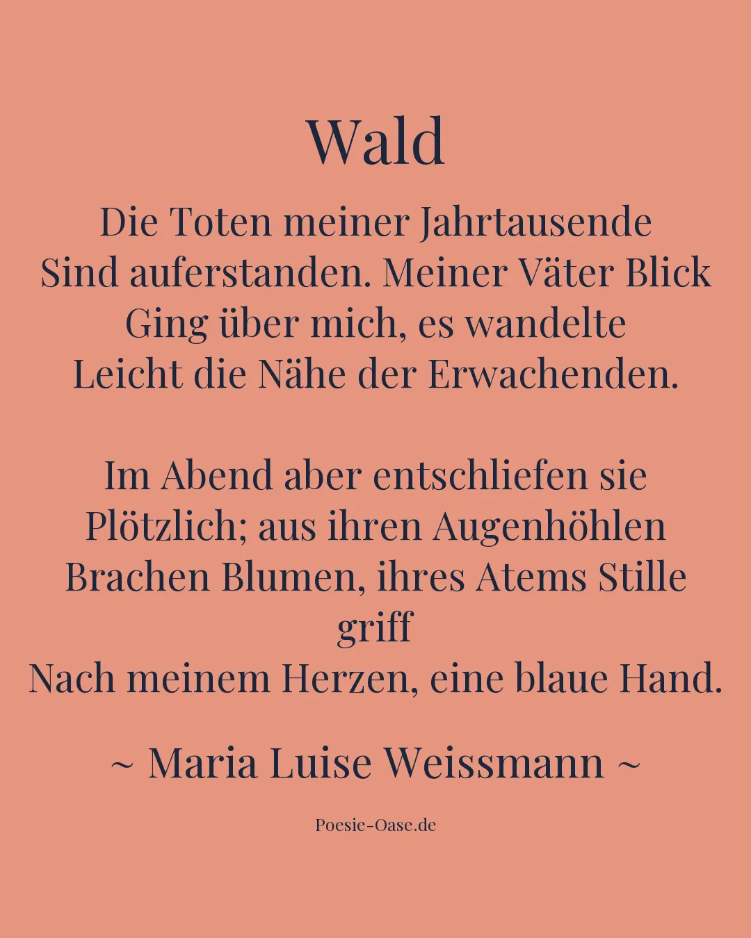 Illustration zu Wald